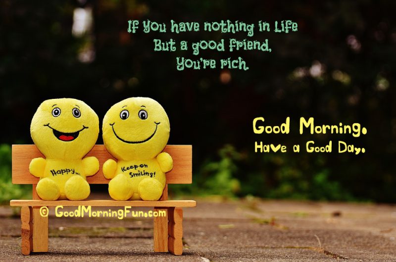 100 Heart Touching Good Morning Quotes For Special Friend Good